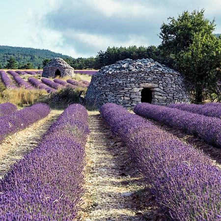 Le Cabanon Des Lavandes Entre Mont Ventoux Et Luberon Sault-de-Vaucluse Kültér fotó